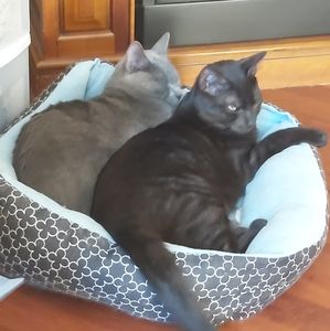 Meet your Posher, Joanne